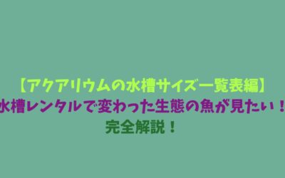 【アクアリウムの水槽サイズ一覧表編】水槽レンタルで変わった生態の魚が見たい！完全解説！