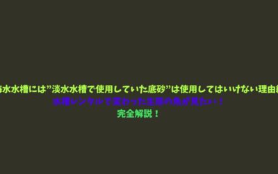 【海水水槽には”淡水水槽で使用していた底砂”は使用してはいけない理由編】水槽レンタルで変わった生態の魚が見たい！完全解説！