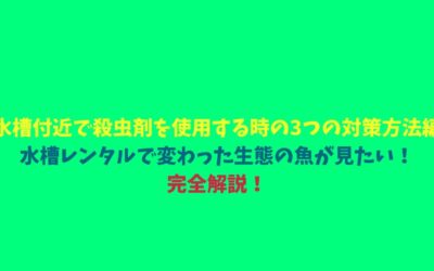 【水槽付近で殺虫剤を使用する時の3つの対策方法編】水槽レンタルで変わった生態の魚が見たい！完全解説！