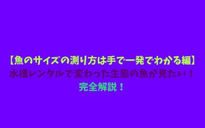 【魚のサイズの測り方は手で一発でわかる編】水槽レンタルで変わった生態の魚が見たい！完全解説！