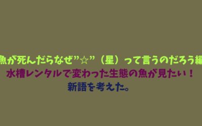 【魚が死んだらなぜ”☆”（星）って言うのだろう編】水槽レンタルで変わった生態の魚が見たい！新語を考えた。