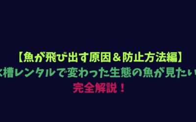 【魚が飛び出す原因＆防止方法編】水槽レンタルで変わった生態の魚が見たい！完全解説！