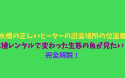 【水槽の正しいヒーターの設置場所の位置編】水槽レンタルで変わった生態の魚が見たい！完全解説！