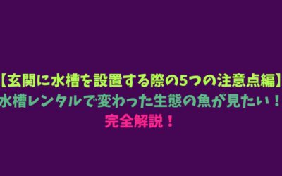 【玄関に水槽を設置する際の5つの注意点編】水槽レンタルで変わった生態の魚が見たい！完全解説！