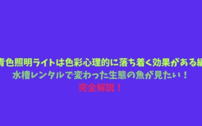 【青色照明ライトは色彩心理的に落ち着く効果がある編】水槽レンタルで変わった生態の魚が見たい！完全解説！