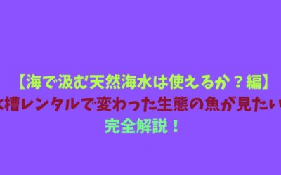 【海で汲む天然海水は使えるか？編】水槽レンタルで変わった生態の魚が見たい！完全解説！