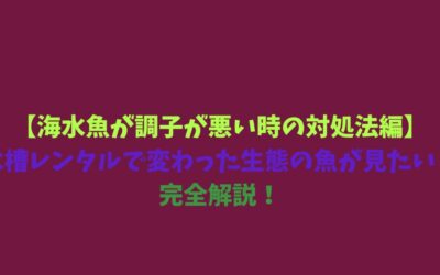【海水魚が調子が悪い時の対処法編】水槽レンタルで変わった生態の魚が見たい！完全解説！