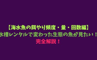 【海水魚の餌やり頻度・量・回数編】水槽レンタルで変わった生態の魚が見たい！完全解説！