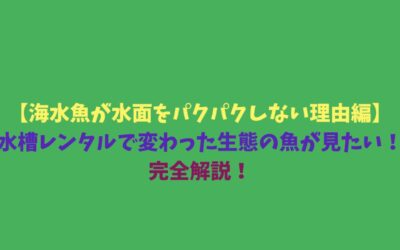【海水魚が水面をパクパクしない理由編】水槽レンタルで変わった生態の魚が見たい！完全解説！