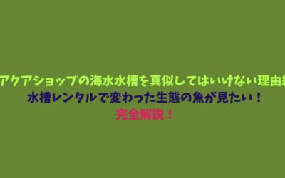 【海水水槽での『貝』が生きてるか死んでるかを見分ける方法編】水槽レンタルで変わった生態の魚が見たい！完全解説！