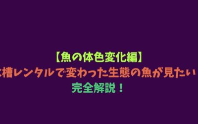 【魚の体色変化編】水槽レンタルで変わった生態の魚が見たい！完全解説！