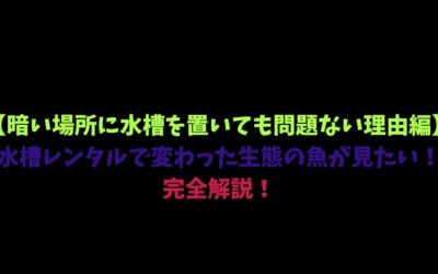 【暗い場所に水槽を置いても問題ない理由編】水槽レンタルで変わった生態の魚が見たい！完全解説！