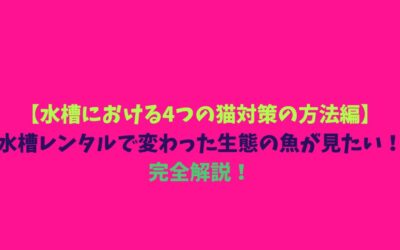 【水槽における4つの猫対策の方法編】水槽レンタルで変わった生態の魚が見たい！完全解説！