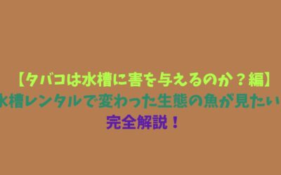 【タバコは水槽に害を与えるのか？編】水槽レンタルで変わった生態の魚が見たい！完全解説！
