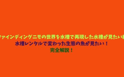 【ファインディングニモの世界を水槽で再現した水槽が見たい編】水槽レンタルで変わった生態の魚が見たい！完全解説！