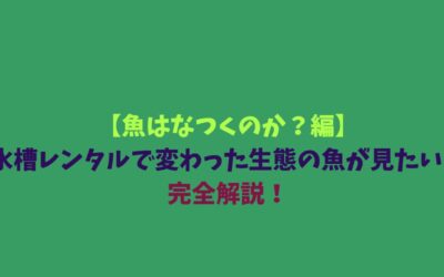 【魚はなつくのか？編】水槽レンタルで変わった生態の魚が見たい！完全解説！