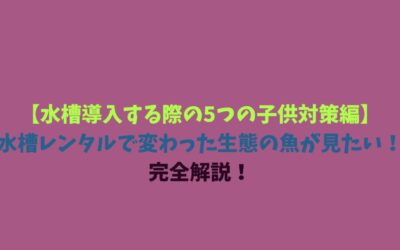 【水槽導入する際の5つの子供対策編】水槽レンタルで変わった生態の魚が見たい！完全解説！