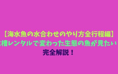 【海水魚の水合わせのやり方全行程編】水槽レンタルで変わった生態の魚が見たい！完全解説！