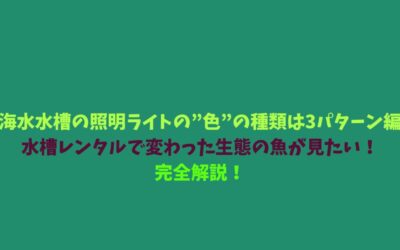 【海水水槽の照明ライトの”色”の種類は3パターン編】水槽レンタルで変わった生態の魚が見たい！完全解説！