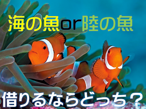 わかりやすい 熱帯魚と海水魚の違い 水槽レンタル神奈川 マリブ 海水専門 メンテナンス