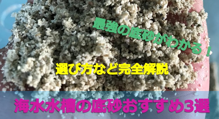 完全解説 海水魚水槽の底砂 サンゴ砂 おすすめ3選 選び方と重要性完全解説 水槽レンタル神奈川 マリブ 海水専門 メンテナンス