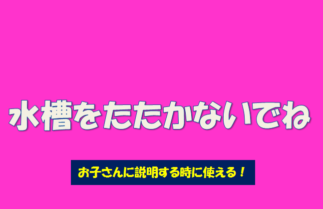 水槽を叩かないでね の本当の意味をプロがわかりやすく解説 水槽レンタル神奈川 マリブ 海水専門 メンテナンス