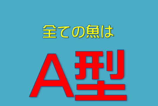 魚の血液型は全てa型 水槽レンタル神奈川 マリブ 海水専門 メンテナンス