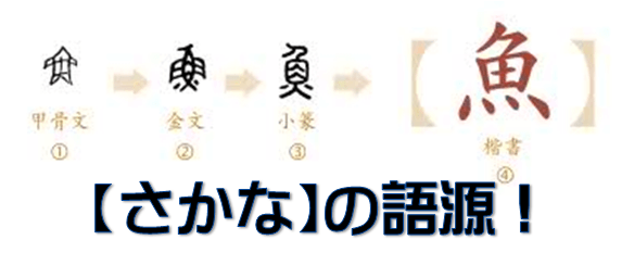 完全版 魚という漢字は元々象形文字だった 水槽レンタル神奈川 マリブ 海水専門 メンテナンス