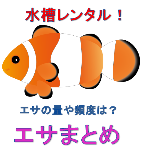 プロが教える 海水魚の餌 回数は１日どれくらい 水槽レンタル神奈川 マリブ 海水専門 メンテナンス
