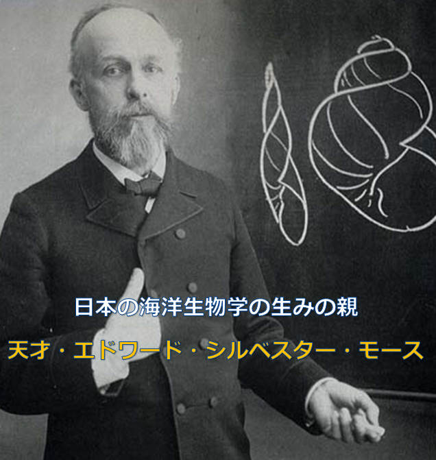 日本の海洋生物学研究のはじまりは エドワード シルベスター モース という天才によって築かれた 水槽レンタル神奈川 マリブ 海水専門 メンテナンス