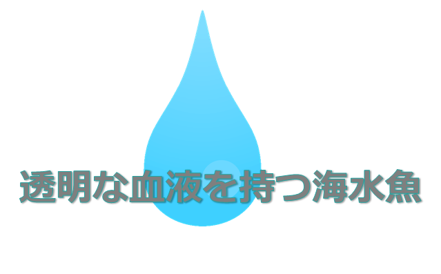 南極 コオリウオの血液が透明な理由 水槽レンタル神奈川 マリブ 海水専門 メンテナンス