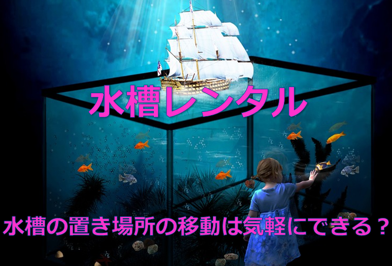 重い 水槽の置き場所の移動は気軽にできる 水槽レンタル神奈川 マリブ 海水専門 メンテナンス