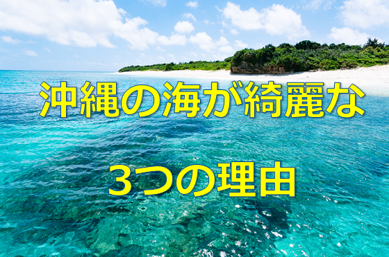 完全版 沖縄の海が綺麗な3つの理由 わかりやすい 水槽レンタル神奈川 マリブ 海水専門 メンテナンス