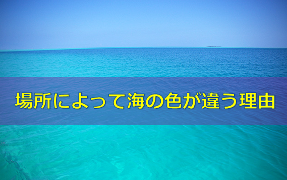 完全版 場所によって海の色が違う理由 水槽レンタル神奈川 マリブ 海水専門 メンテナンス