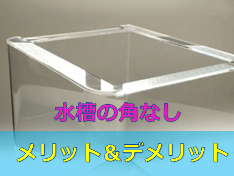 R加工 水槽を角なしにするメリット デメリット 水槽レンタル神奈川 マリブ 海水専門 メンテナンス