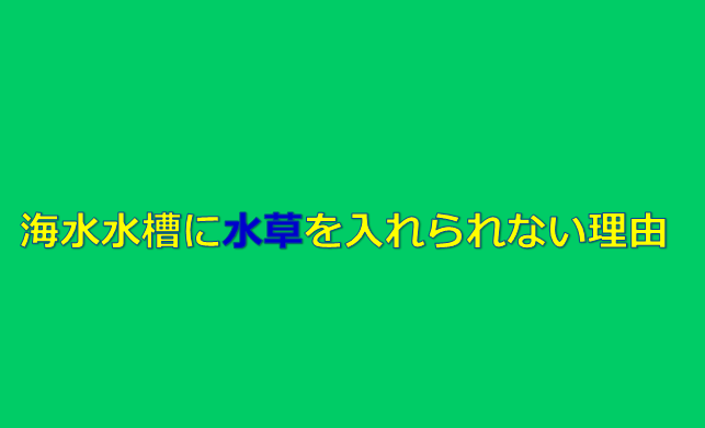 完全納得 海水水槽に淡水の水草を入れられない理由 水槽レンタル神奈川 マリブ 海水専門 メンテナンス