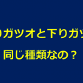 縦縞 横縞 カツオは興奮すると 縞模様 の向きが変わる理由 水槽レンタル神奈川 マリブ 海水専門 メンテナンス