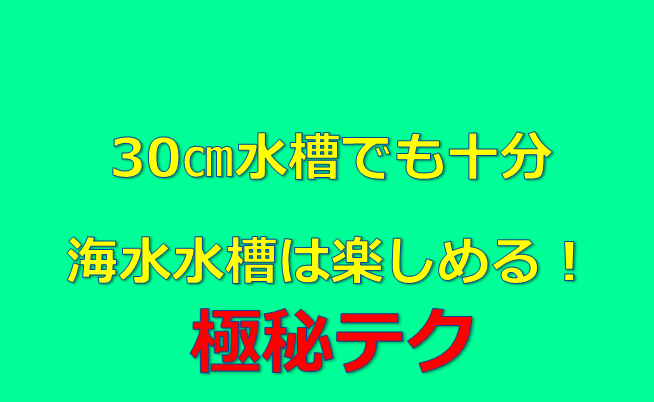 海水魚水槽極秘テク 水槽を置く場所がないを解決する方法 水槽レンタル神奈川 マリブ 海水専門 メンテナンス