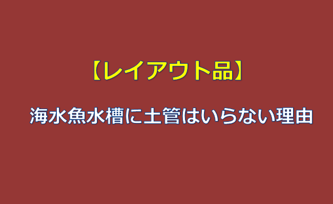 決定版 海水魚水槽に 土管 はいらない理由 水槽レンタル神奈川 マリブ 海水専門 メンテナンス