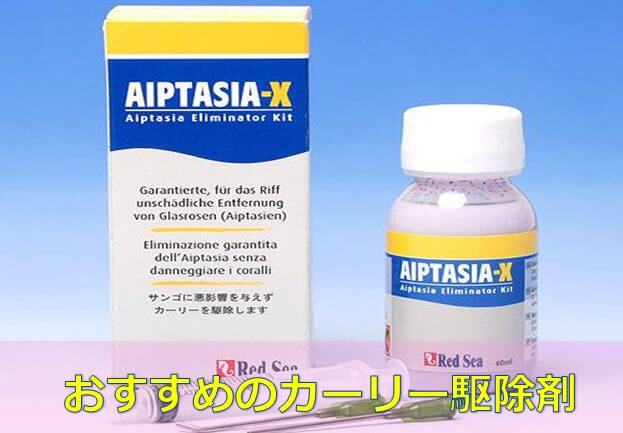 プロ推薦 カーリー完全対策方法 おすすめ駆除剤best5 水槽レンタル神奈川 マリブ 海水専門 メンテナンス