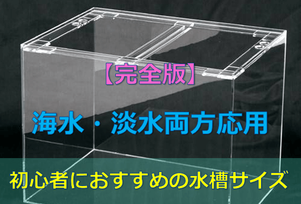 プロが教える 初心者におすすめの水槽サイズ 水槽レンタル神奈川 マリブ 海水専門 メンテナンス