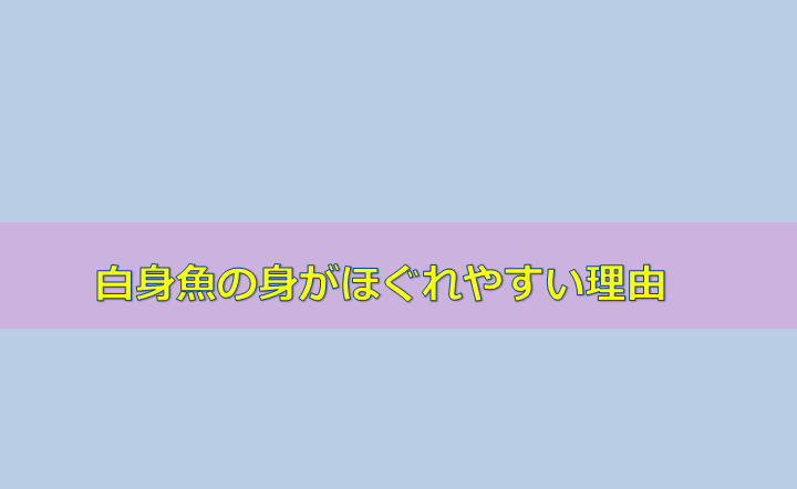 白身魚の身がほぐれやすい理由 水槽レンタル神奈川 マリブ 海水専門 メンテナンス