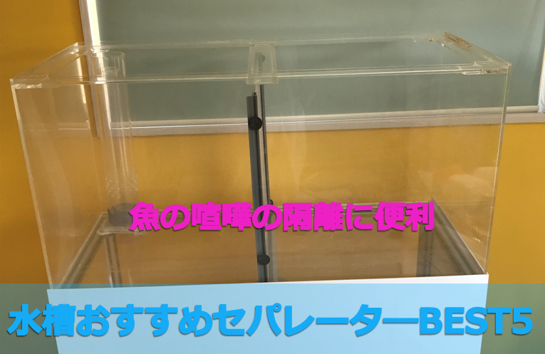 セパレータ―】水槽のおすすめ仕切り板３選！ | 水槽レンタル神奈川 