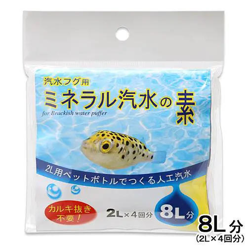 まとめ 海水と淡水が入り混じる汽水域の魚の全情報 水槽レンタル神奈川 マリブ 海水専門 メンテナンス