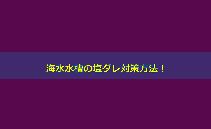 掃除テク 海水水槽の塩ダレ対策方法 水槽レンタル神奈川 マリブ 海水専門 メンテナンス