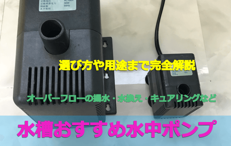 人気商品 濾過装置 Ｒｉｏ３１００ポンプ付き 東日本用 ５０Ｈｚ 最大流出量 Ｌ ｍｉｎ ５２.０水量