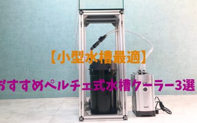 【小型水槽最適】おすすめペルチェ式水槽クーラー3選！